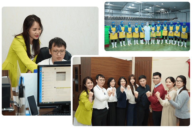 Đội ngũ <b>nhân sự</b>