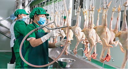 Tuyển chọn nguồn hàng